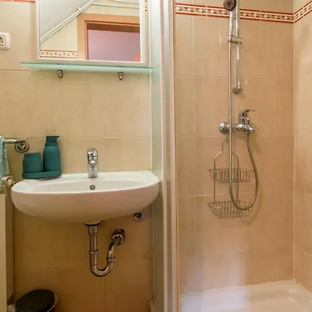 Apartma Dvor Milena アパート *