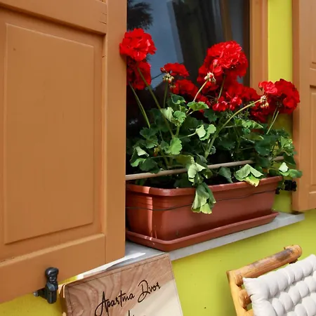 Apartma Dvor Milena * ボヴェツ