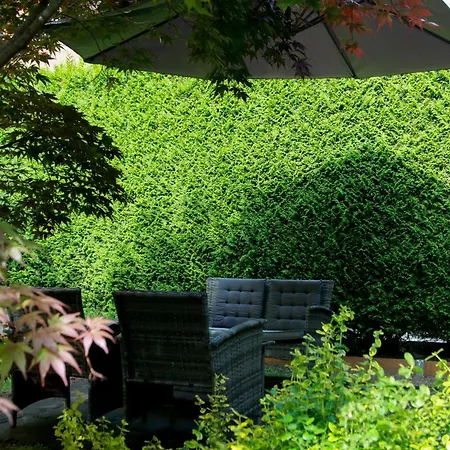 Appartamento Apartma Dvor Milena