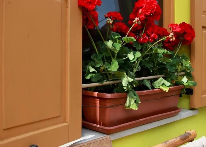 Apartma Dvor Milena * בובק