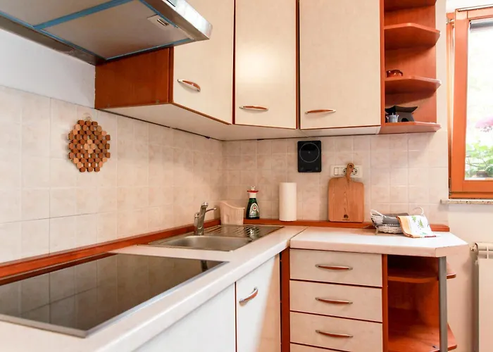 Apartma Dvor Milena דירה בובק