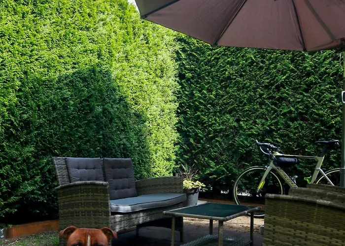 Apartma Dvor Milena * בובק