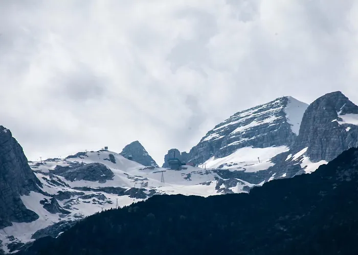 Apartma Dvor Milena בובק